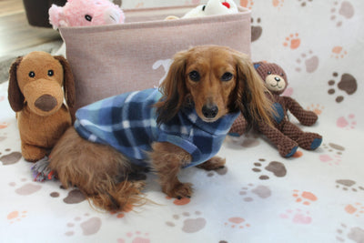 Brinkley Blue Plaid Fleece Dachshund Sweater - Measurements in item description