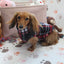 Marcos Black & Red Plaid Fleece Dachshund Sweater - Measurements in item description