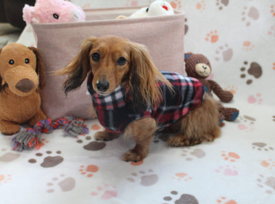 Marcos Black & Red Plaid Fleece Dachshund Sweater - Measurements in item description