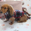 Marcos Black & Red Plaid Fleece Dachshund Sweater - Measurements in item description