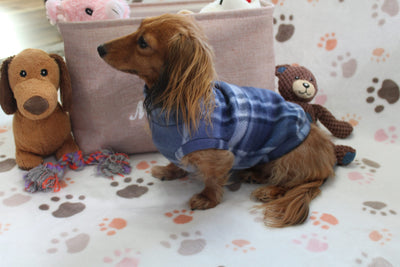 Falko Blue Plaid Fleece Dachshund Sweater - Measurements in item description