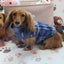 Falko Blue Plaid Fleece Dachshund Sweater - Measurements in item description
