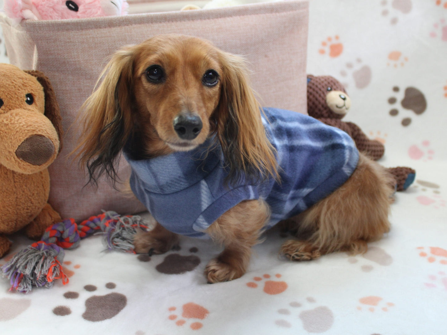 Falko Blue Plaid Fleece Dachshund Sweater - Measurements in item description