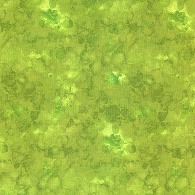 Timeless Treasures Solid-ish Watercolor Texture Quilting Cotton Fabric- Fern