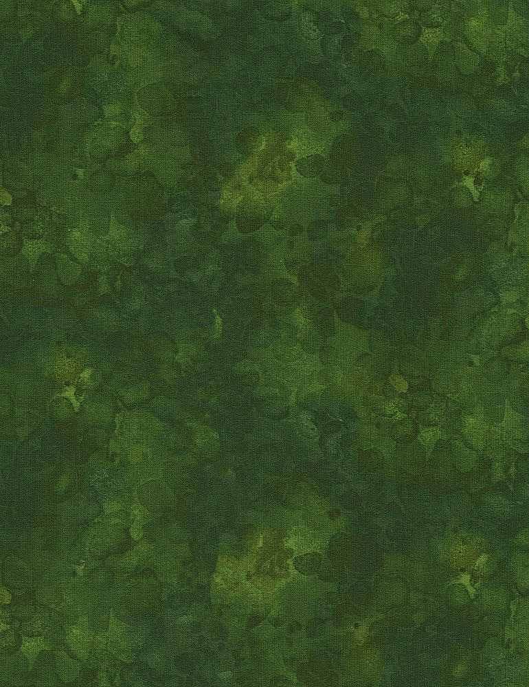 Timeless Treasures Solid-ish Watercolor Texture Quilting Cotton Fabric- Forest