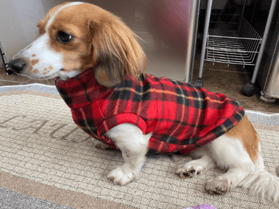 Plaid and Print Fleece Dog Sweaters- Multiple Colors!