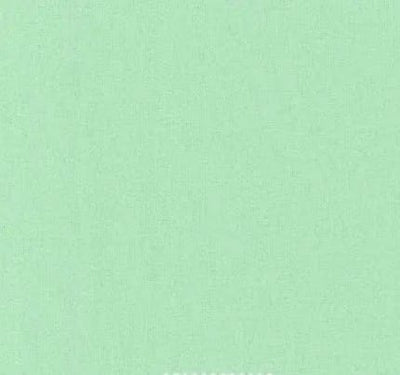 Solid Mint Snuggle Flannel Fabric