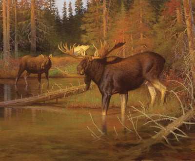 Riley Blake Majestic in Nature Intruder Panel 36" Panel Quilting Cotton Fabric