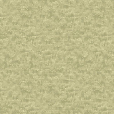 Marcus Fabrics First Blush Moire Quilting Cotton Fabric- Green