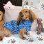 Royal Stewart Blue Plaid Fleece Dachshund Sweater - Measurements in item description