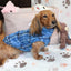 Royal Stewart Blue Plaid Fleece Dachshund Sweater - Measurements in item description