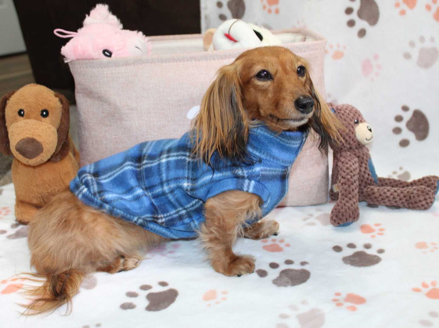 Royal Stewart Blue Plaid Fleece Dachshund Sweater - Measurements in item description