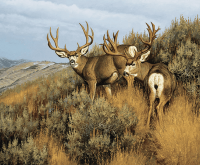 Riley Blake Majestic in Nature 36" Panel Quilting Cotton Fabric- Low Country Mulies