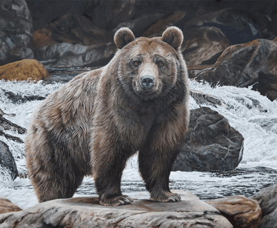 Riley Blake Majestic in Nature 36" Panel Quilting Cotton Fabric- No Fish Today