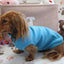 Solid Turquoise Fleece Dachshund Sweater - Measurements in item description
