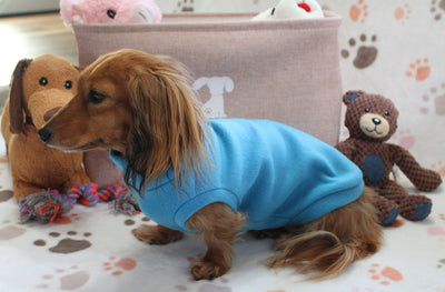 Solid Turquoise Fleece Dachshund Sweater - Measurements in item description