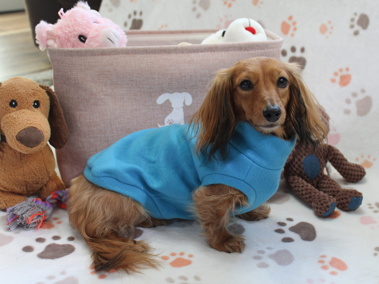 Solid Turquoise Fleece Dachshund Sweater - Measurements in item description