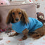 Solid Turquoise Fleece Dachshund Sweater - Measurements in item description