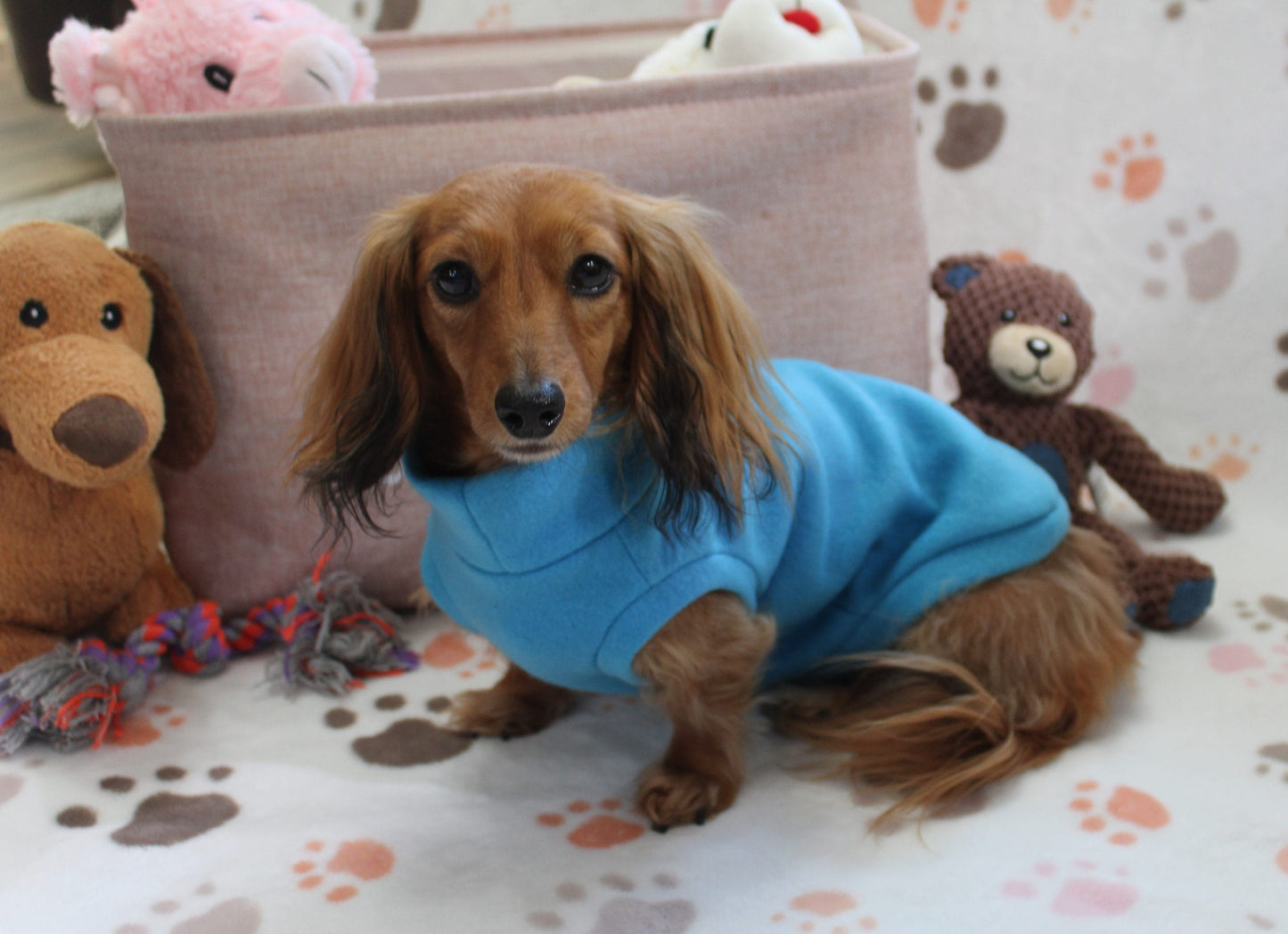 Solid Turquoise Fleece Dachshund Sweater - Measurements in item description