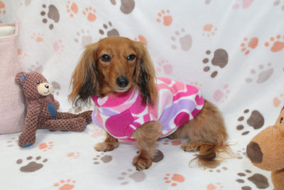Yasmin Swirls Fleece Dachshund Sweater - Measurements in item description