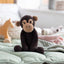 Toft Benedict the Chimpanzee Crochet Kit- Level 1 Beginner