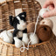 Toft Paddy the Black & White Cat Crochet Kit- Level 2 Beginner