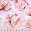 Shannon Fabrics Cuddle Single Sided 58/60" wide- Petal Dusty Rose