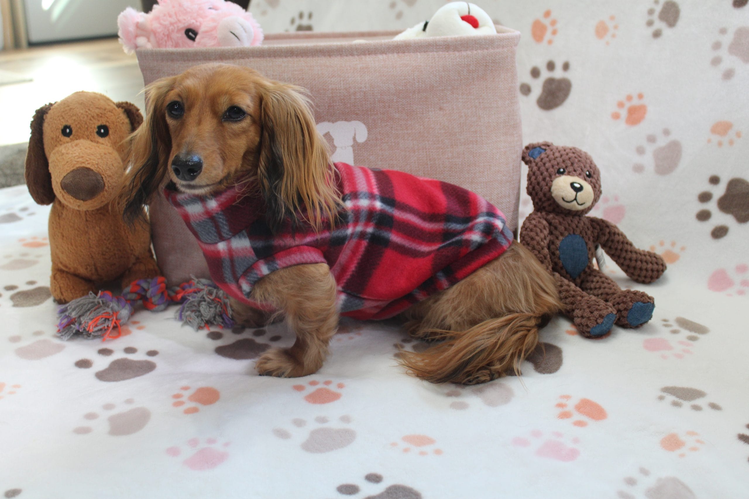Falko Red Plaid Fleece Dachshund Sweater - Measurements in item description image 2
