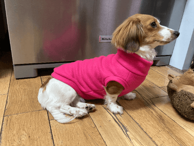 Solid Fleece Dog Sweaters- Multiple Colors!